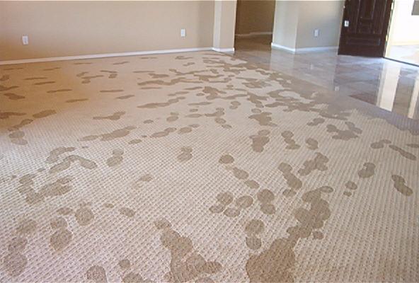 basement carpet
