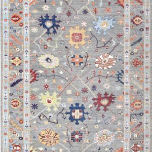 transitional rugs,