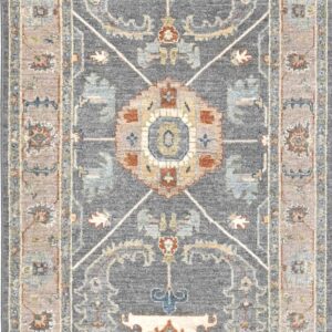 transitional rugs,
