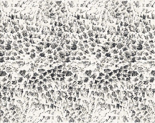 196633 - Image 3