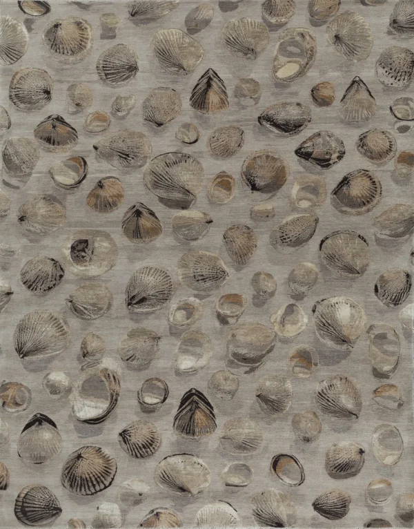 Shells (Sandstone)