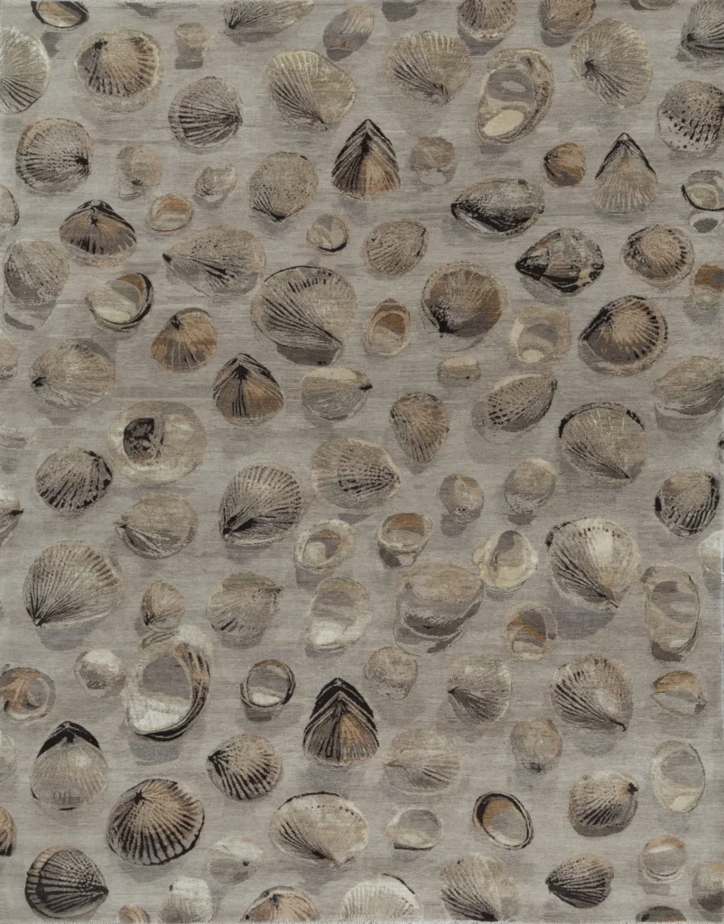 Shells (Sandstone)